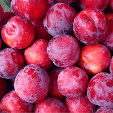 Plum